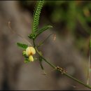 남생이못 이미지