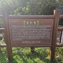 서광동리곶자왈 | 제주 아이와 숲길 추천 걷기 좋은 산책길 서광동리 곶자왈 생태탐방로(근처 맛집 추천)