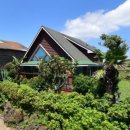 하모리-31 이미지