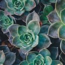 요가체조 이미지