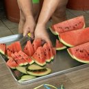 금호쉼터식당 이미지