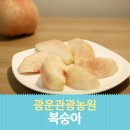 광운관광농원 이미지