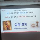 예비신자 교리반(제18과 치유의 성사~고해성사와 병자성사) 이미지