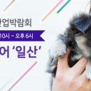 펫살롱케이 이미지