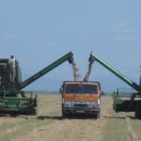 농장고구려 이미지