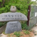 여왕벌건강원