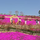 순창군 쉴랜드 이미지