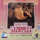 고래문화가 있는날 | 울산 장생포 고래빵 솔직후기 고래박물관 근처 아이와 함께 간식