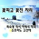 꽃이 피고 비가 내리면 이미지