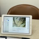 두피연구소(S.lab) 이미지