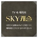 스카이가구