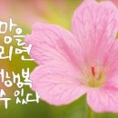 해피데이 이미지