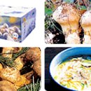 귀농영농 임업정보-단기소득임산물-버섯류 이미지