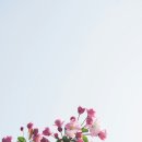 용규네 이미지