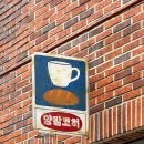 양말코히 이미지