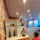 정선군립병원 | 2025 정선 숙소 : 하이원 리조트 팰리스 호텔 스탠다드 트윈룸 563호 후기