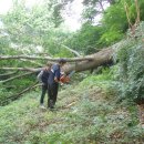 우정아파트 이미지