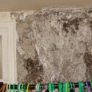 광명로 335번길 이미지