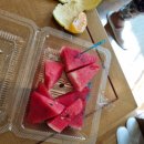 맑은시암풍경소리 | 방콕 자유여행 3일차: 방콕왕궁 왓프라깨우 왓포 / 로컬맛집 All Meals Sawasdee / 수상보트 사톤항...