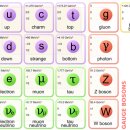 양자, 전기 역학(입자물리학) 주요 개념, 표준 모형 입자 (매우 중요) 이미지