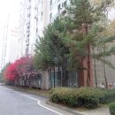 청학로114번길1 이미지