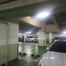 디오빌 동물병원 이미지