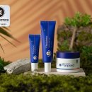 마리포사 이미지