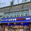 속초대패 이미지