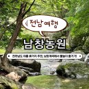 [전남 장성 남창농원] 남창계곡에서 닭백숙 먹고 물놀이한 후기