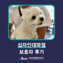십자인대파열 이강 보호자님의 후기