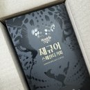 [스페셜티 커피] 핸드립 재규어 스페셜티 커피 : 집에서도 편하게 즐기는 핸드드립