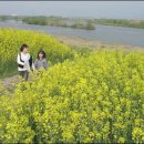 나주홍어 이미지