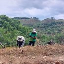 대경농장2 이미지