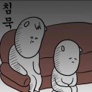 팥도리 이미지