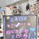 드림바다실내낚시터 이미지