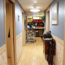 강동일식 이미지