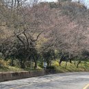 유달산둘레길 | 유달산 둘레길 트래킹: 목포 원도심과 바다를 한눈에!