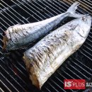 아지트식당 일간스포츠