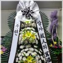 대성식물병원 이미지