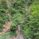 8월2~3일(금토) 설악산(대청봉~공룡능선~봉정암) 국립공원.100대명산 이미지