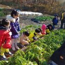 세인자연 이미지