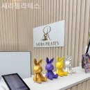새라필라테스 - 부천시 원미구 중동로254번길 81 | 신중동필라테스 새라필라테스 방문후기