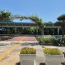 벌교역옆주차장 이미지