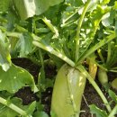 임병주농장 이미지