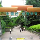 늠내길3코스 옛길 이미지