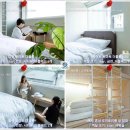 호텔토마토 이미지