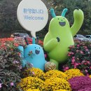 드림파크 | 바쁜 일상 속 잠깐의 여유 드림파크 국화축제 참여 후기