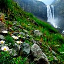 강화댁식품 이미지