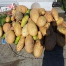 람세스한우농장 이미지