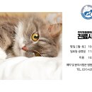 인덕원동물의료센터 이미지